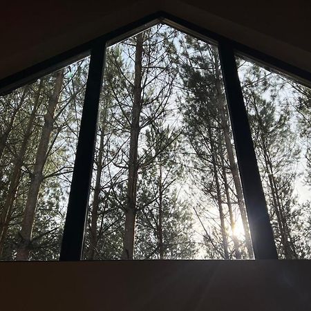Domek Szumisosna2 Zyciny Exteriör bild